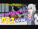 アウトドアには漆黒の策略家（カラス）にはご用心！