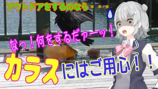 アウトドアには漆黒の策略家（カラス）にはご用心！