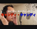 【アニメソング歌ってみた動画】「キャンディ・キャンディ」より『キャンディ・キャンディ』"Candy Candy" Covered by 奥大輔