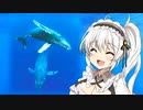 お母さんと一緒！クジラVer.