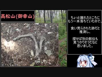 【1分弱登山祭2023F】高松山RTA（08:22）