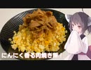 #133【焼き飯】パラパラなお米！九州名物にんにく肉焼き飯！【東北きりたん】