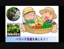 ベランダ菜園003N
