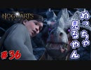 決して怪しい者ではございません　「ホグワーツ・レガシー」　＃36