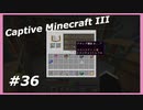 【Minecraft】 #36 エンチャント初心者 【Captive Minecraft III】