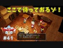 #41 【ドラゴンクエストⅩオフライン】いざ！ネルゲルのところへ！！【目覚めし五つの種族】※ネタバレ注意