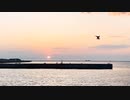 Never let me go - original song
