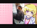 ヒヨリちゃんのハムスターの日常。25