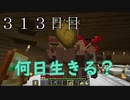 【３１３日目の７回目】ワンブロックの世界をハードコアで生き残れ！