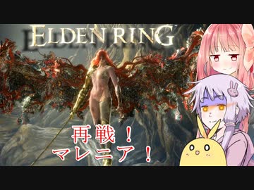 【ELDEN RING】エルデンギュンギュン11【VOICEROID実況プレイ】