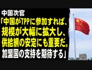 中国次官「中国はTPPに参加する能力がある。加盟国の支持を期待する」