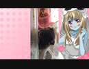 ゾンビーナのハムスターの日常。56
