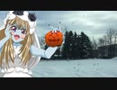 お散歩_北海道②
