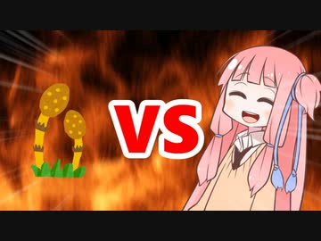 茜ちゃんVSつくし