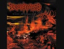 Decapitated - Mandatory Suicide (Slayer cover)