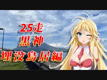 クロ目の旅　思いつき探訪禄　25走～黒神埋没鳥居編～