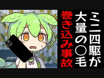 ミニ四駆がチ〇毛を巻き込んで取れなくなったのでトイザらスに電話するずんだもん