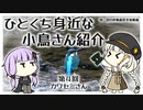 【第三回10秒動画祭】ひとくち身近な小鳥さん紹介【第4回:カワセミさん】