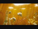 【PS4】ABZÛ プレイ動画 03  海底探索アドベンチャー