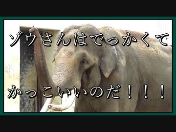 VOICEVOX:ずんだもんといっしょに、10秒間ゾウさんを見てみよう