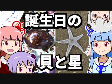 【琴葉姉妹の誕生日】ハナマル＊ユッキーと悪食の星【VOICEROID劇場？】
