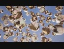 祝♡艦これ10周年