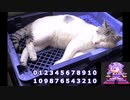 【第三回10秒動画祭】012345678910【voiceroid劇場】
