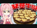 【琴葉姉妹生誕祭？】食物連鎖の頂点茜さんが高カロリーたべっ子どうぶつケーキを喰らう！【VOICEROIDキッチン＋生声】