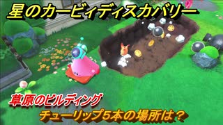 星のカービィディスカバリー 　草原のビルディング　チューリップ５本の場所は？　＃１０２　【カービィディスカバ】