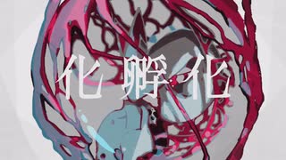 化孵化 / cover