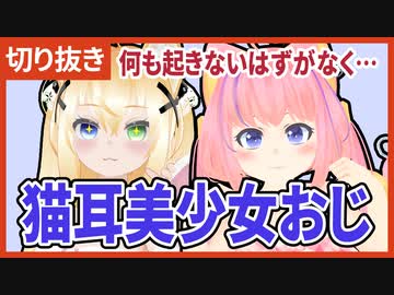 猫耳美少女おじさん同士のｲﾁｬｲﾁｬの見所をまとめました【切り抜き】