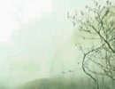 カメラは見ていた！凶悪事件TOP１０
