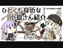 【第三回10秒動画祭】ひとくち身近な小鳥さん紹介【第6回:エナガさん】