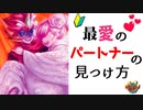 【初心者向け】デュエパーティーのデッキを作ろう！（パートナーの選び方編）【デュエマ・ボイロ解説】