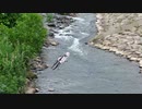 アリアルさんの川流れ【第三回10秒動画祭】