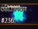 実況 ◇ The Elder Scrolls IV: オブリビオン ◇ 第236幕