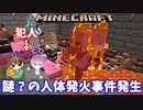 【マインクラフト】「村で謎の人体発火事件が多発した」