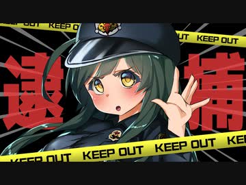 【第三回10秒動画祭】開けろ！ゲームタイトル警察です！