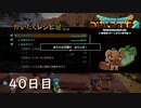 【実況】あの日夢見た世界を 共に作ろう【ドラゴンクエストビルダーズ２】40日目