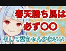 葵ちゃんの！天皇賞・春の超重要データ！！