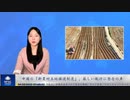 中国の「新農村土地譲渡制度」、厳しい執行に懸念の声
