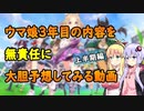 【ウマ娘】ウマ娘3年目の内容を無責任に大胆予想してみる動画【単発動画】
