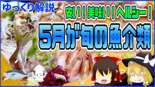 【ゆっくり解説】5月が旬の魚介類ついて解説！