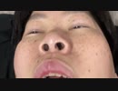 【コメント無】ニンポー 2023年04月26日18時55分 入眠前定時報告2【ニコ生録画】