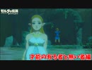 俺はどっちかっていうと無い側かな【ゼルダの伝説 ブレス オブ ザ ワイルド】#14
