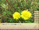 【戦中戦後の時代を舞台にした女性向けADV】フリーゲーム「鼓草」 実況プレイPART8