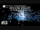 折角だしカタツムリに騙されてみる【Hollow Knight】#18