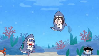 サメ(たぬき)の生態