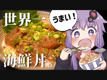 名ばかり管理栄養士ゆかりのズボラ飯#6『世界一うまい海鮮丼！？りゅうきゅう』