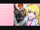 ヒヨリちゃんのハムスターの日常。26